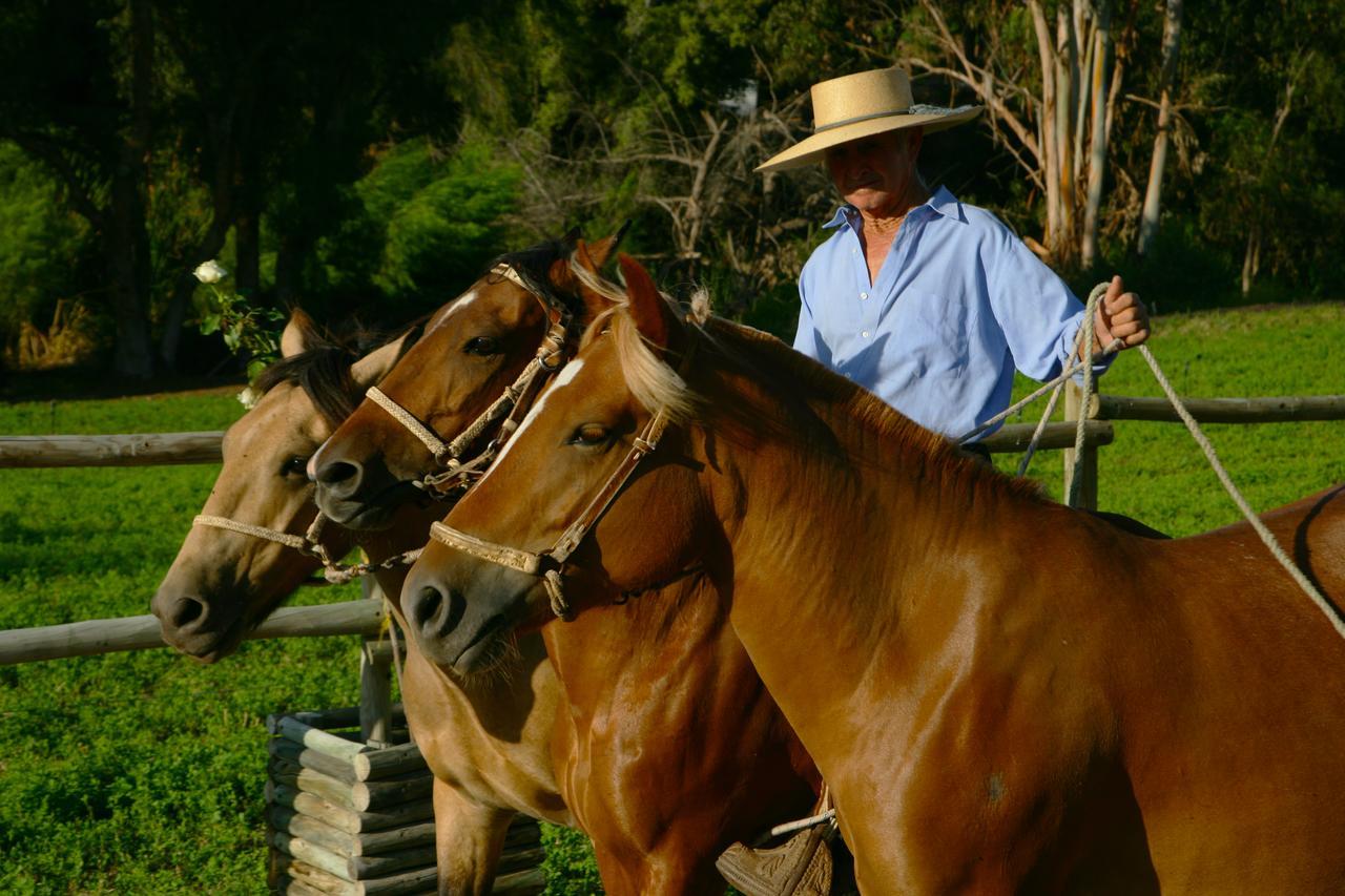 ホテル Hacienda Santa Cristina オバエ エクステリア 写真