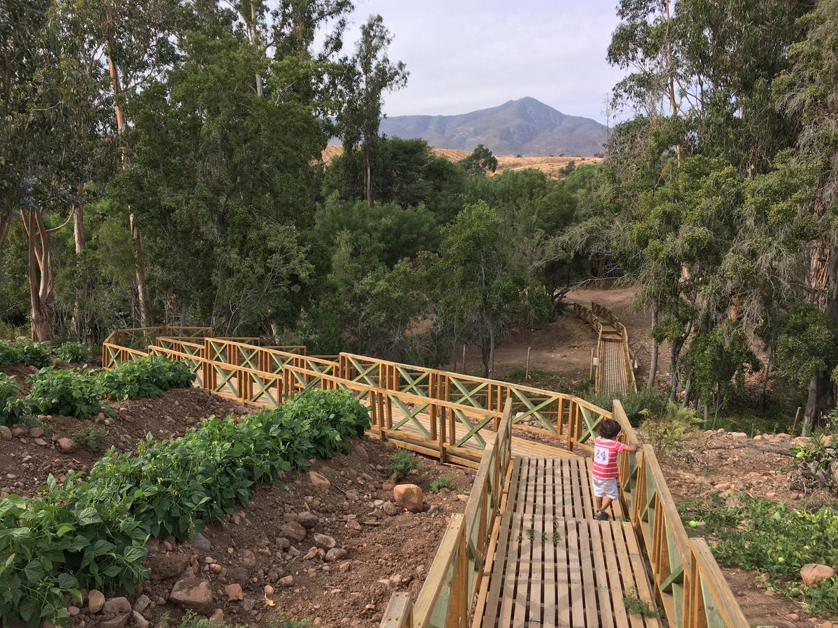 ホテル Hacienda Santa Cristina オバエ エクステリア 写真