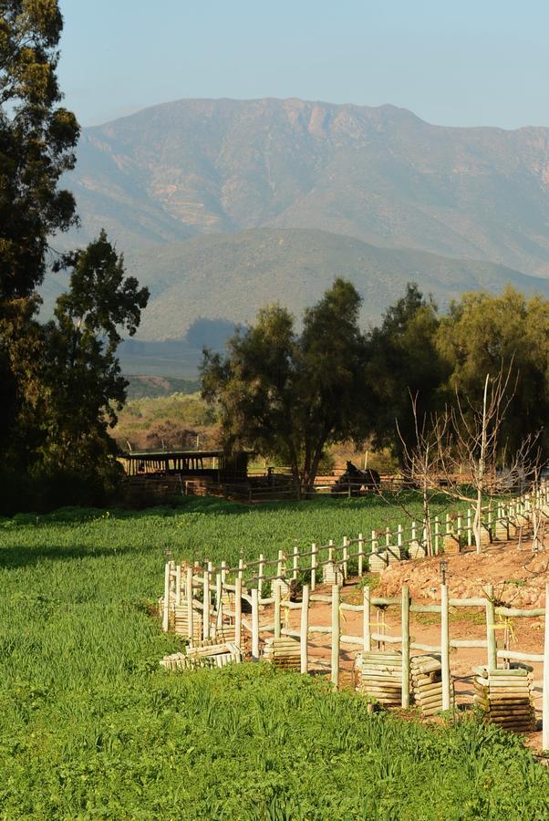 ホテル Hacienda Santa Cristina オバエ エクステリア 写真